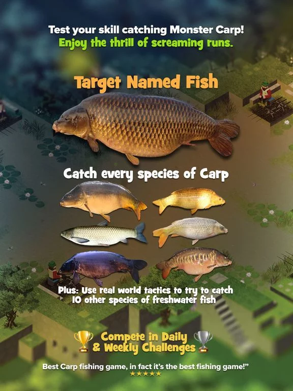 Изображение игры: Carpcraft: Carp Fishing