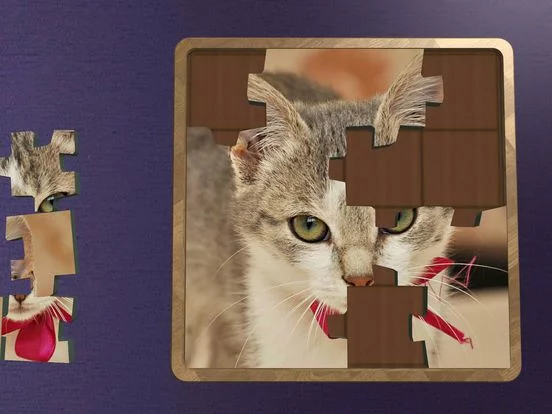 Изображение игры: Super Jigsaws Kittens