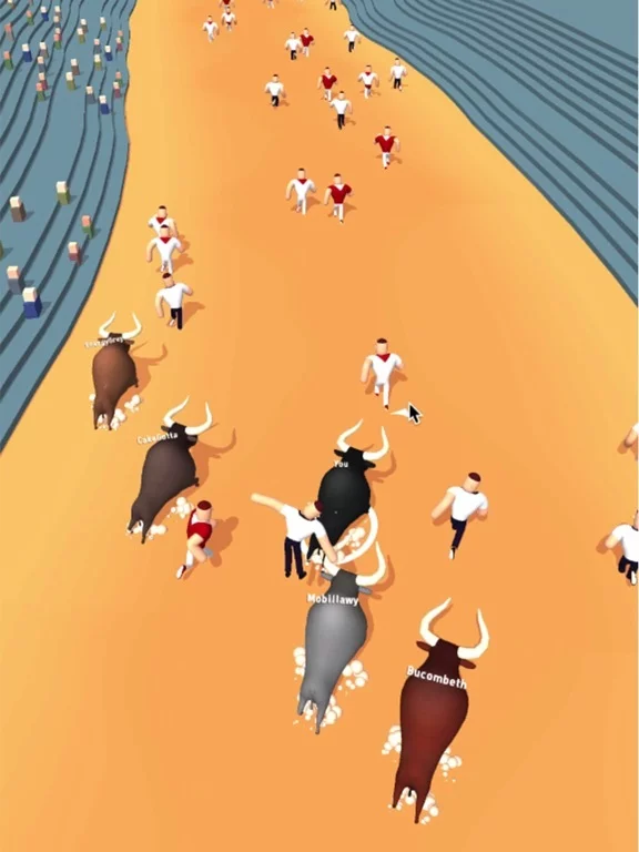 Изображение игры: Bull Race