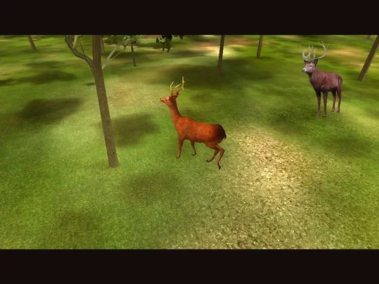 Изображение игры: Elite Sniper Deer Hunter: Jungle Hunting Challenge