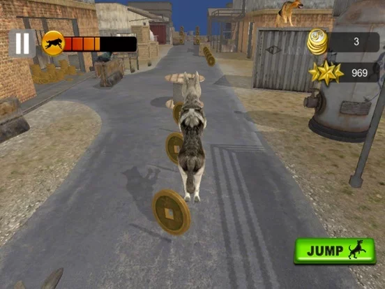 Изображение игры: Dog Racing Challenge 3D 2017