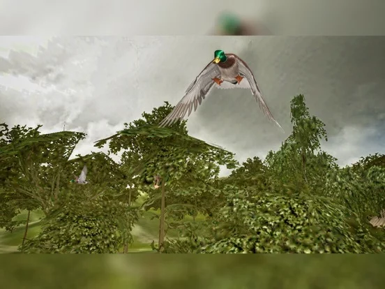 Изображение игры: Classic Bird Hunter: Real Forest Shooting Simultor