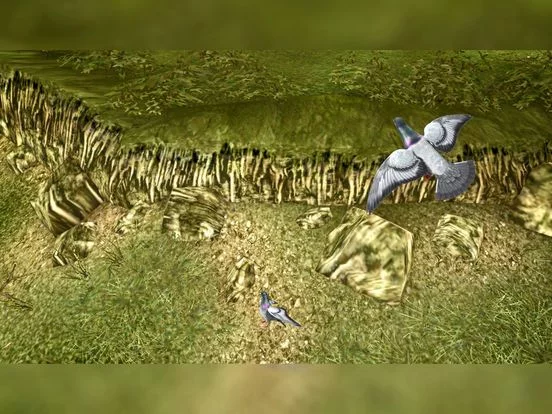 Изображение игры: Classic Bird Hunter: Real Forest Shooting Simultor