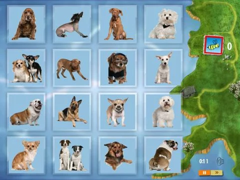 Изображение игры: Concentration Cards Matching Game FREE: Find Pairs & Train Your Memory Skills if you're preschoolers, schoolchildren, adults or seniors suitable from 2 to 100 years - for iPad and iPhone 3, 4, 5 HD