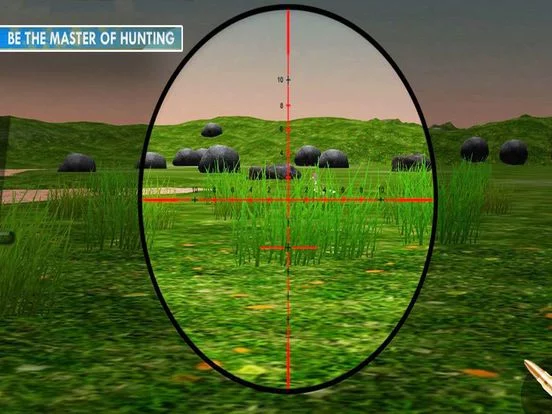 Изображение игры: Duck Shoot: Animal Hunting