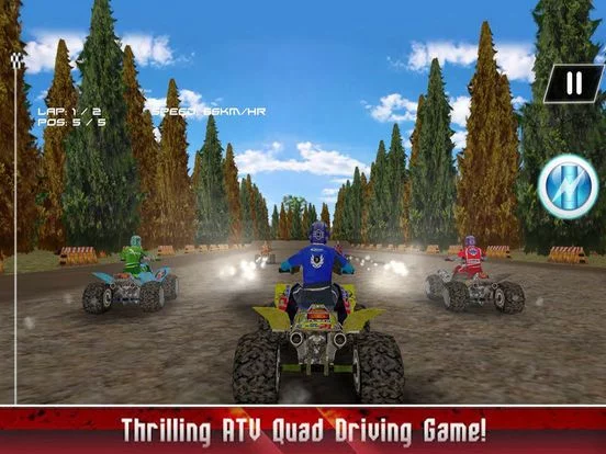 Изображение игры: Champion ATV Quad Bike