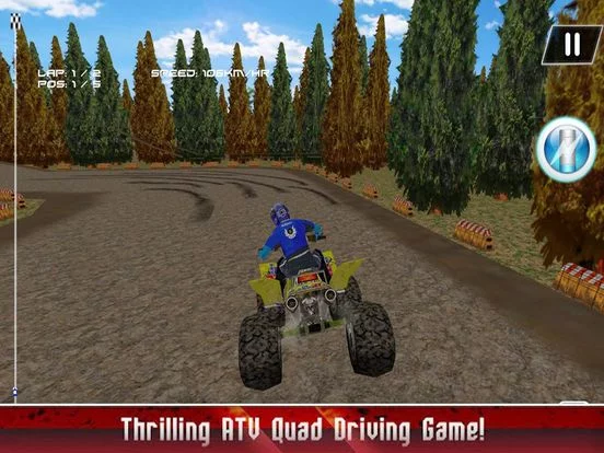 Изображение игры: Champion ATV Quad Bike