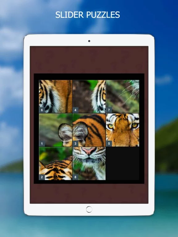 Изображение игры: Sharper Minds: Brain Games