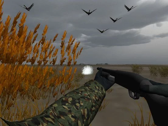 Изображение игры: Duck Hunter Pro 3D