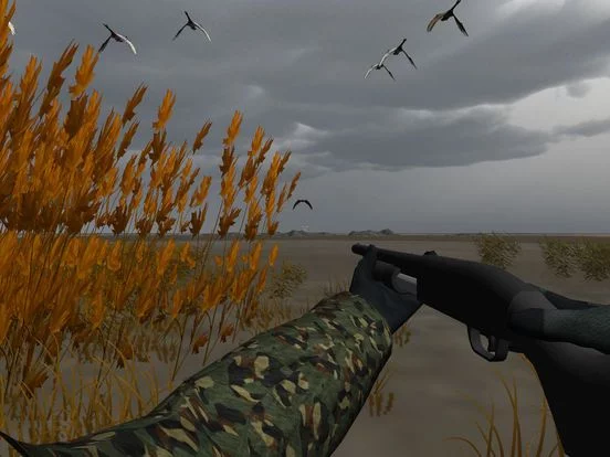 Изображение игры: Duck Hunter Pro 3D