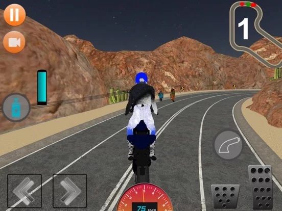 Изображение игры: Extreme Highway Bike Racer