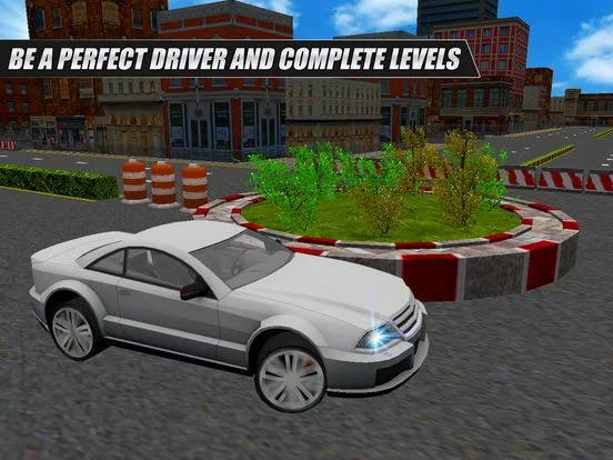 Изображение игры: Car Driving & Parking Academy