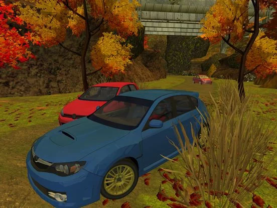 Изображение игры: 3D Mountain Rally Racing - eXtreme Real Dirt Road Driving Simulator Game FREE