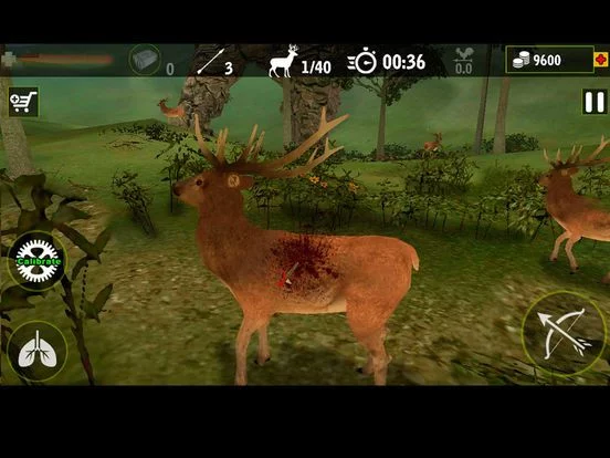 Изображение игры: Real Archery King: Top Free Archery Shooting Game