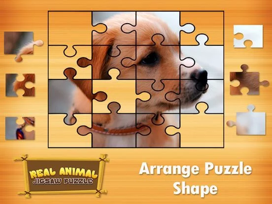 Изображение игры: Animal Jigsaw Puzzles: puppy & cat puzzles