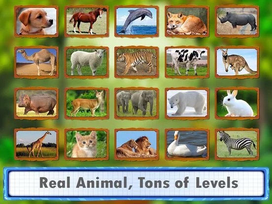 Изображение игры: Animal Jigsaw Puzzles: puppy & cat puzzles