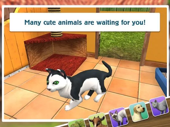 Изображение игры: PetWorld: Animal Shelter