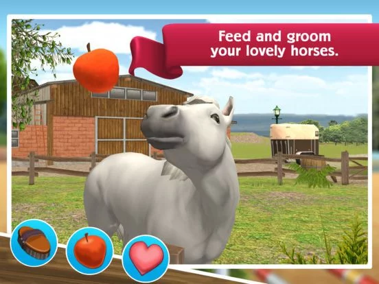 Изображение игры: HorseWorld: Show Jumping