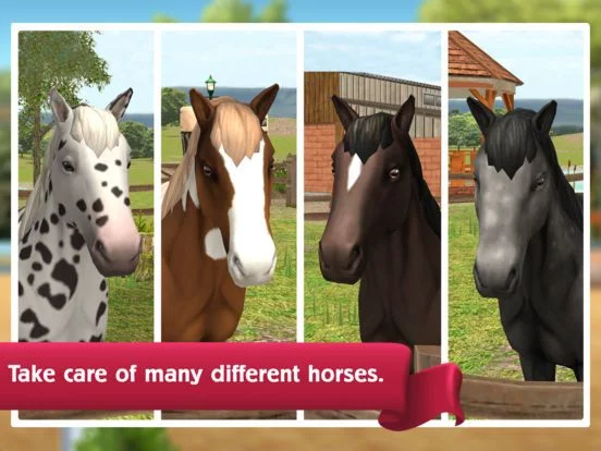 Изображение игры: HorseWorld: Show Jumping