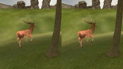 Изображение игры: VR Forest Animal Adventure
