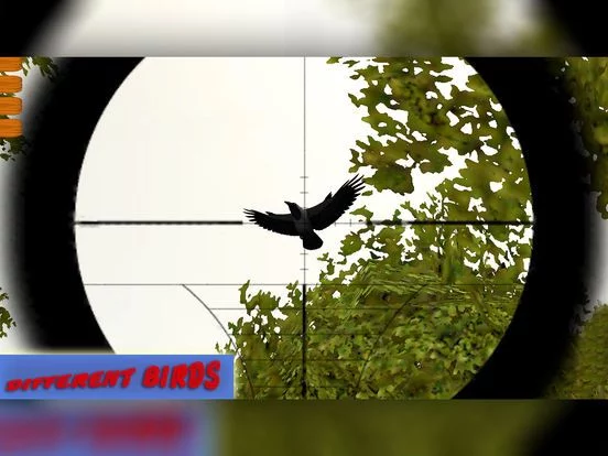 Изображение игры: Wild Bird Hunting: Silent Sniper Shooting