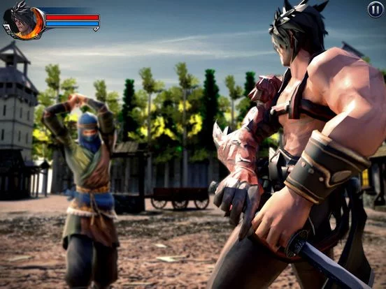 Изображение игры: Ninja Assassin: Samurai Creed