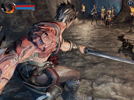 Изображение игры: Ninja Assassin: Samurai Creed