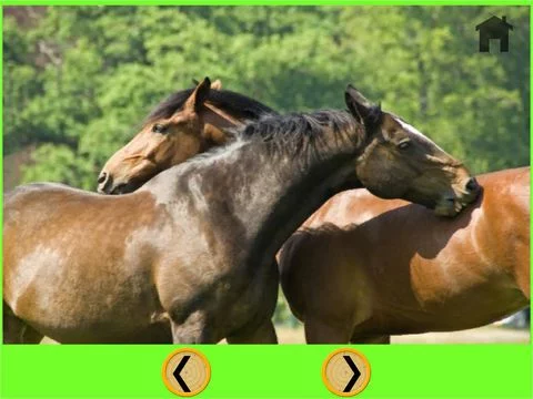 Изображение игры: friendly horses for kids - free