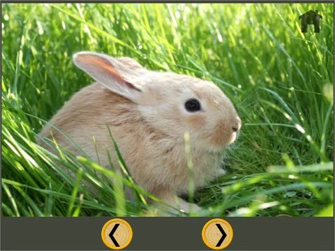Изображение игры: beautiful amazing farm animals for kids - free