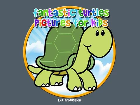 Изображение игры: fantastic turtles pictures for kids - free