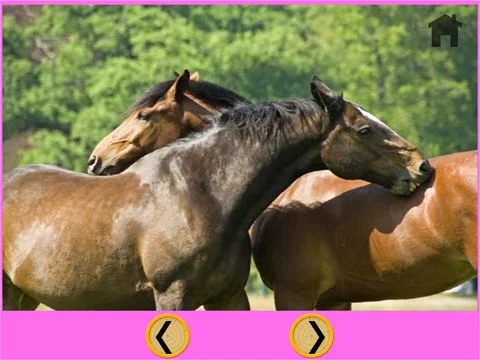 Изображение игры: verry funny horses for kids - free
