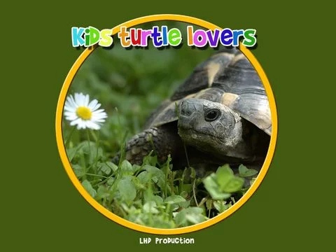 Изображение игры: kids turtles lovers - free