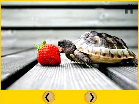 Изображение игры: verry funny turtles for kids free