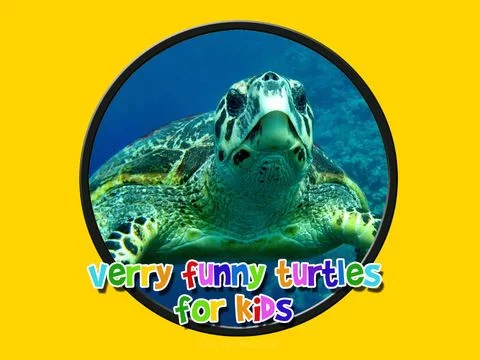 Изображение игры: verry funny turtles for kids free