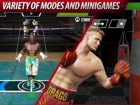 Изображение игры: Real Boxing 2 ROCKY