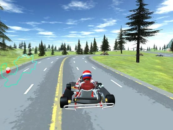 Изображение игры: GO KART CHAMPIONSHIP 3D RACING