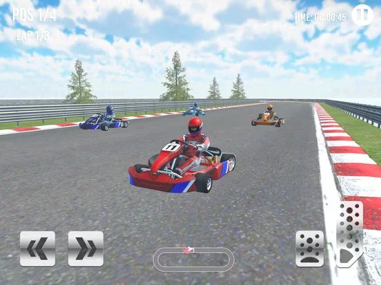 Изображение игры: Go Kart Racing Cup 3D