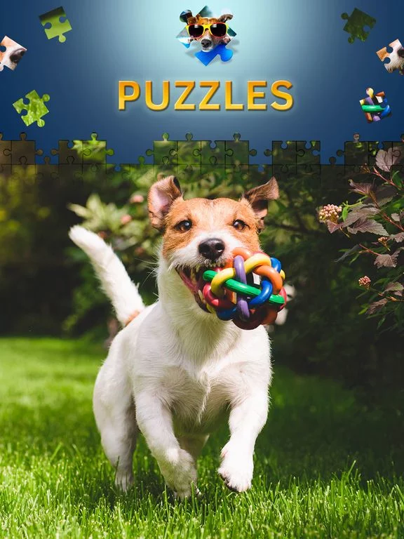 Изображение игры: Dogs Jigsaw Puzzle Game. Premium