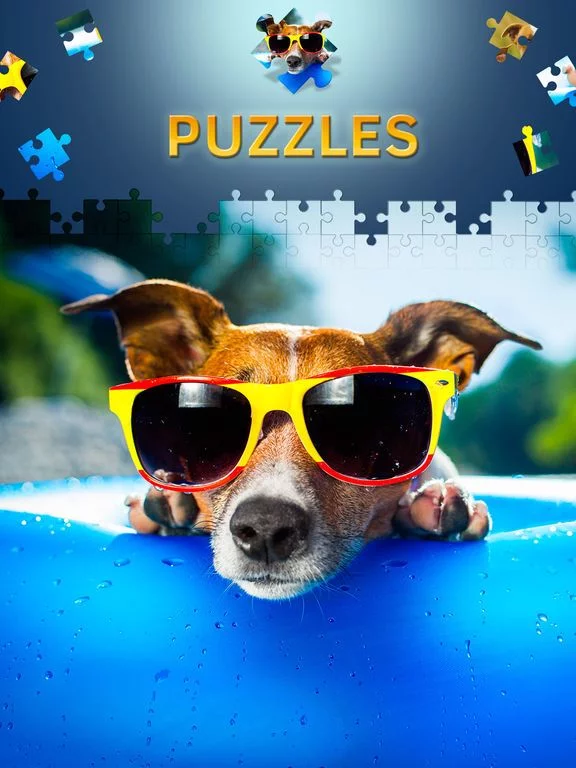 Изображение игры: Dogs Jigsaw Puzzle Game. Premium