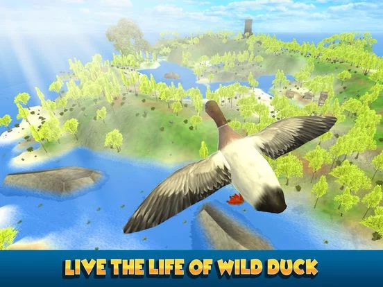 Изображение игры: Duck Simulator 3D: Flying Bird Life
