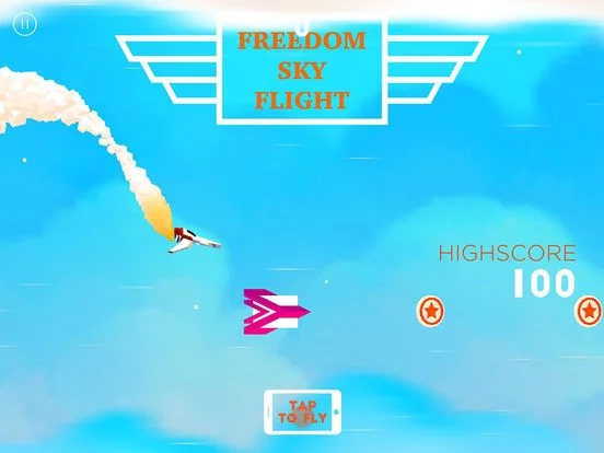 Изображение игры: Freedom Sky Flight Pro