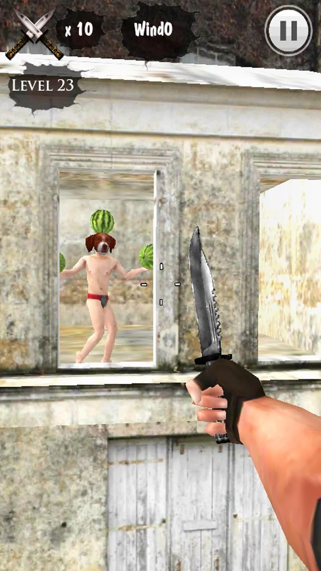 Изображение игры: Throwing Knife King 3D Free