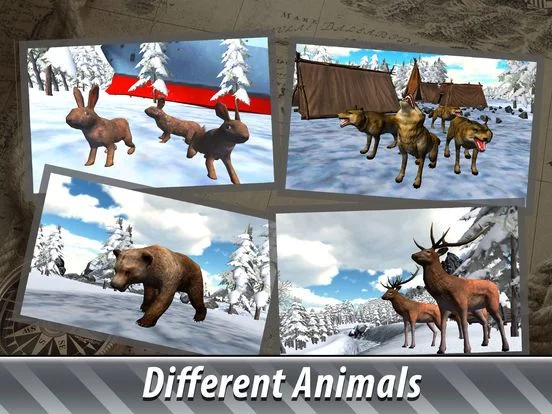 Изображение игры: Winter Animal Hunter 3D Full