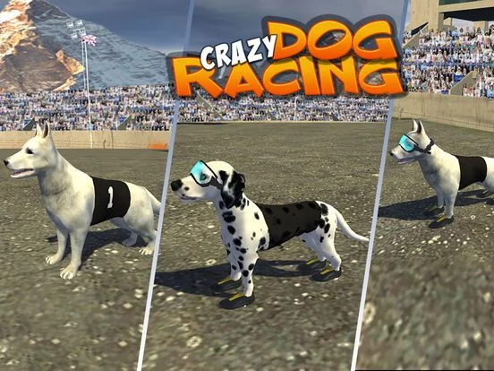 Изображение игры: Crazy Dog Racing: Chase Racing Bunny With Pet Dog