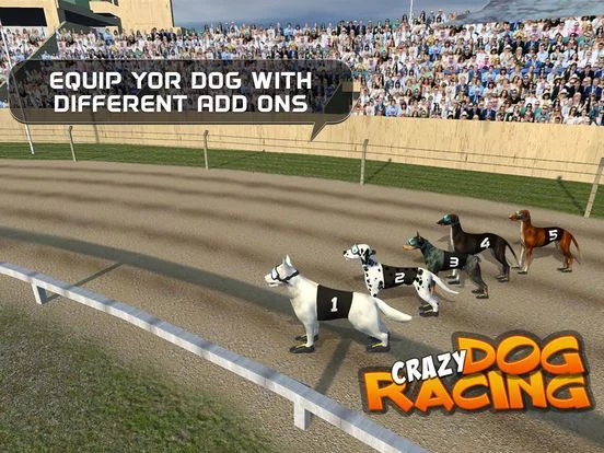 Изображение игры: Crazy Dog Racing: Chase Racing Bunny With Pet Dog