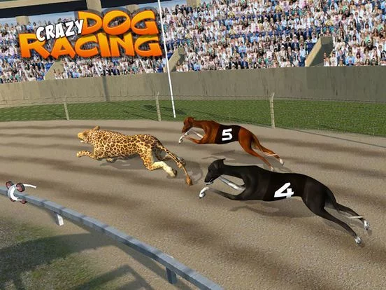 Изображение игры: Crazy Dog Racing: Chase Racing Bunny With Pet Dog