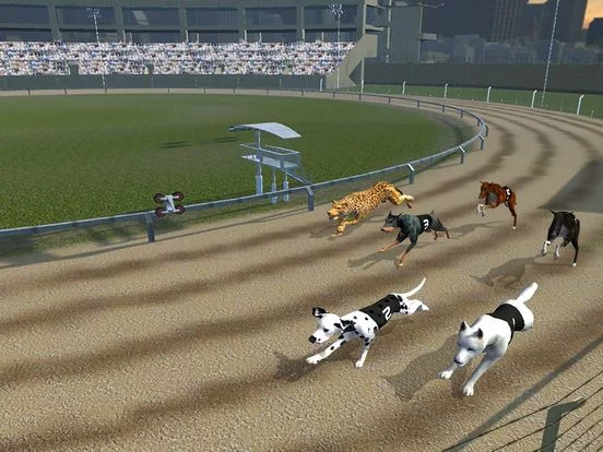 Изображение игры: Crazy Dog Racing: Chase Racing Bunny With Pet Dog