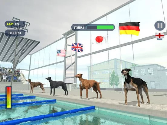 Изображение игры: Dog Swimming Race