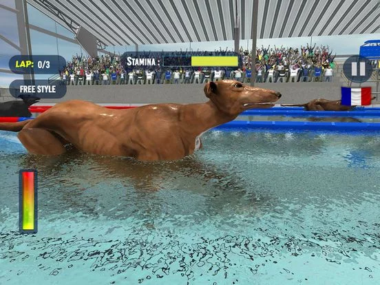 Изображение игры: Dog Swimming Race