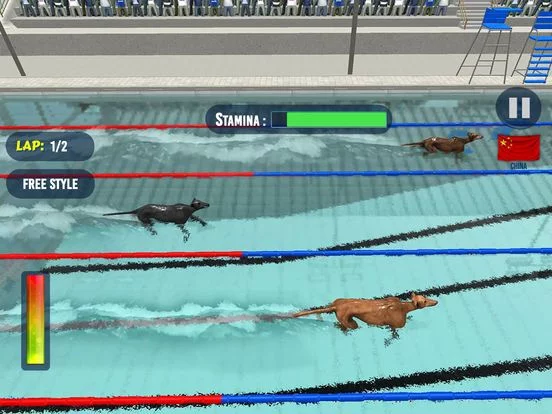 Изображение игры: Dog Swimming Race